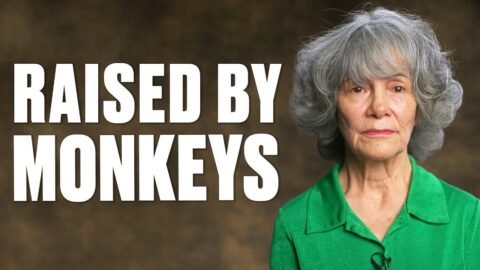 Amazing Storiese – Raised By Monkeys